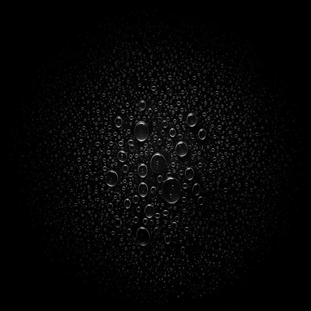 Bubbles on a black background