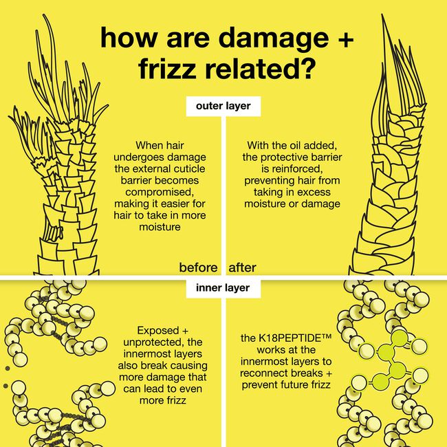 Diagram explaining how damage and frizz are related to hair structure on a yellow background.