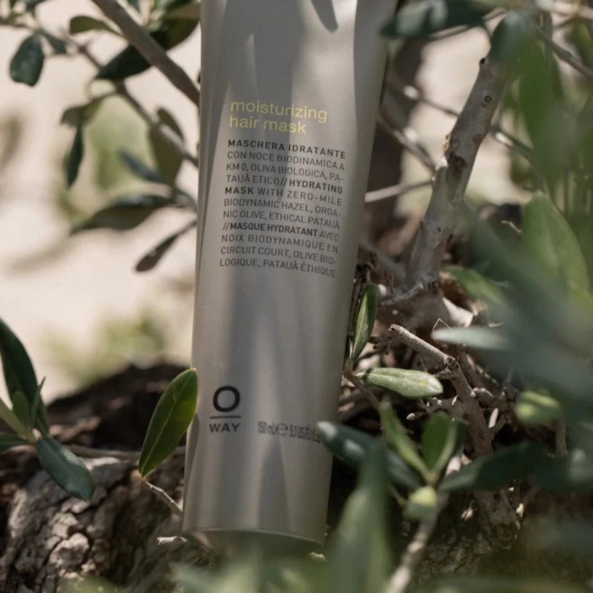 A silver tube of Oway Moisturizing Hair Mask | Deep Hydration Mask for Dry or Dehydrated Hair rests among olive tree branches outdoors, dappled with sunlight and shadow.