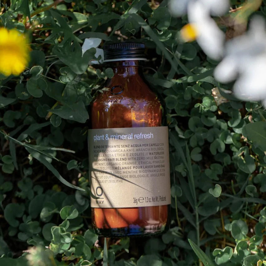 A brown glass bottle labeled "Oway Plant & Mineral Refresh | Purifying Dry Shampoo Powder for All Hair Types" rests on leafy green ground cover, partly sunlit and surrounded by small flowers—a welcoming scene for this botanical dry shampoo.