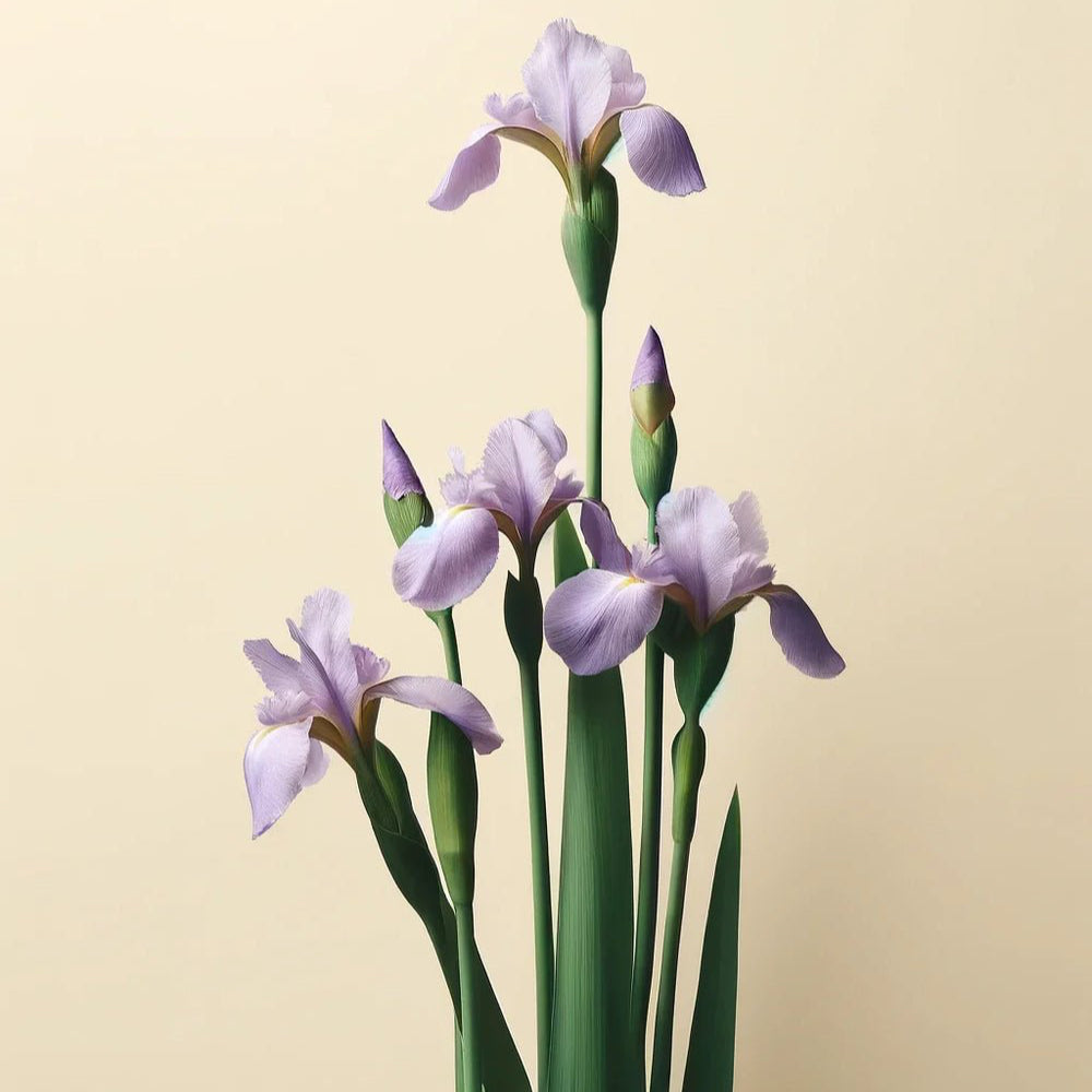 Purple flowers with green leaves on a beige background