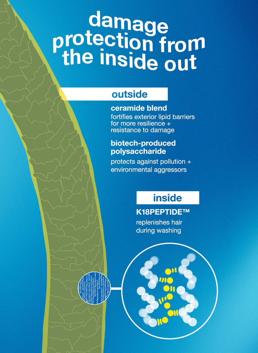 Diagram showing hair protection. "Outside": Ceramide blend fortifies lipid barriers, and biotech-produced polysaccharide protects against pollution for ultimate damage protection. "Inside": K18Peptide™ replenishes hair during washing, making K18 Damage Shield pH Protective Conditioner by K18 Hair Repair part of a nourishing conditioner routine that boosts hair health.