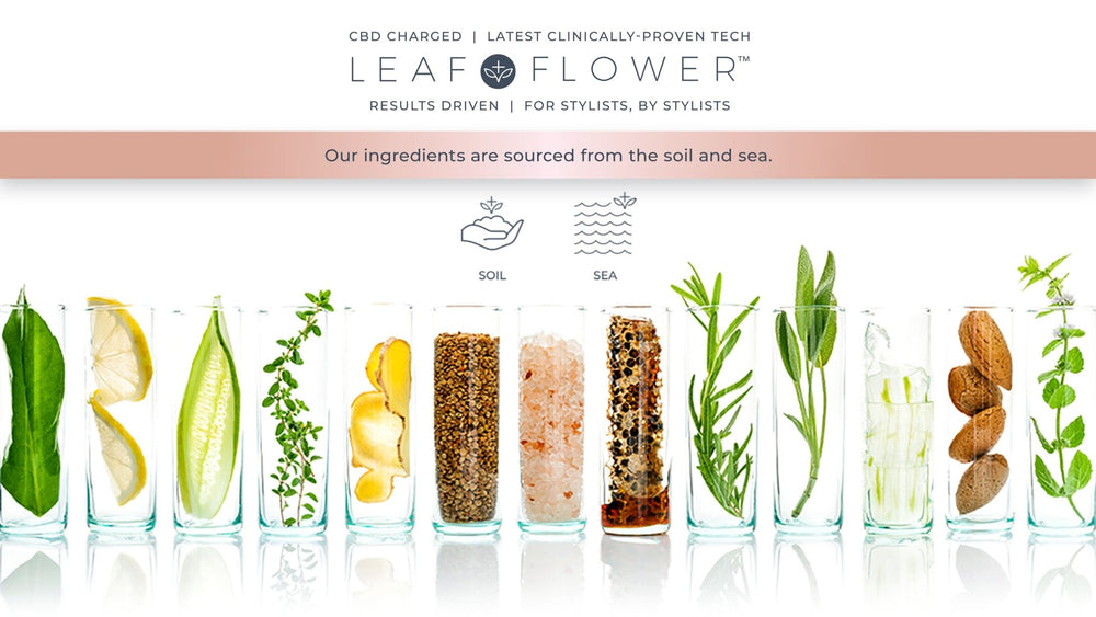 Experience nature-charged hair growth with Simply Colour's Leaf and Flower CBD Hair Care