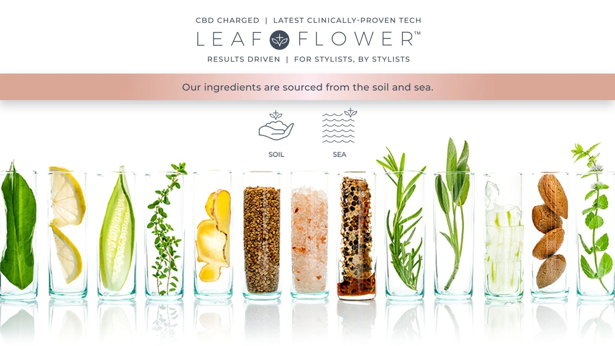Experience nature-charged hair growth with Simply Colour's Leaf and Flower CBD Hair Care