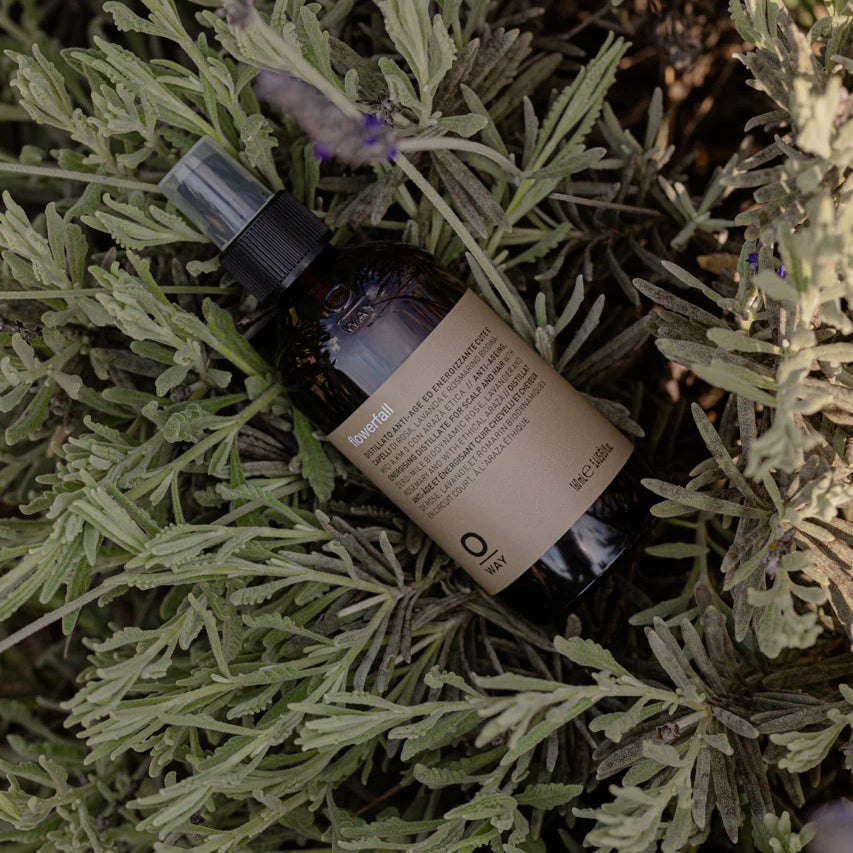 A brown Oway Flowerfall Aromatherapeutic Scalp and Mind Balancing Mist with a beige label sits among green leaves and purple flowers, reflecting its holistic scalp care benefits.