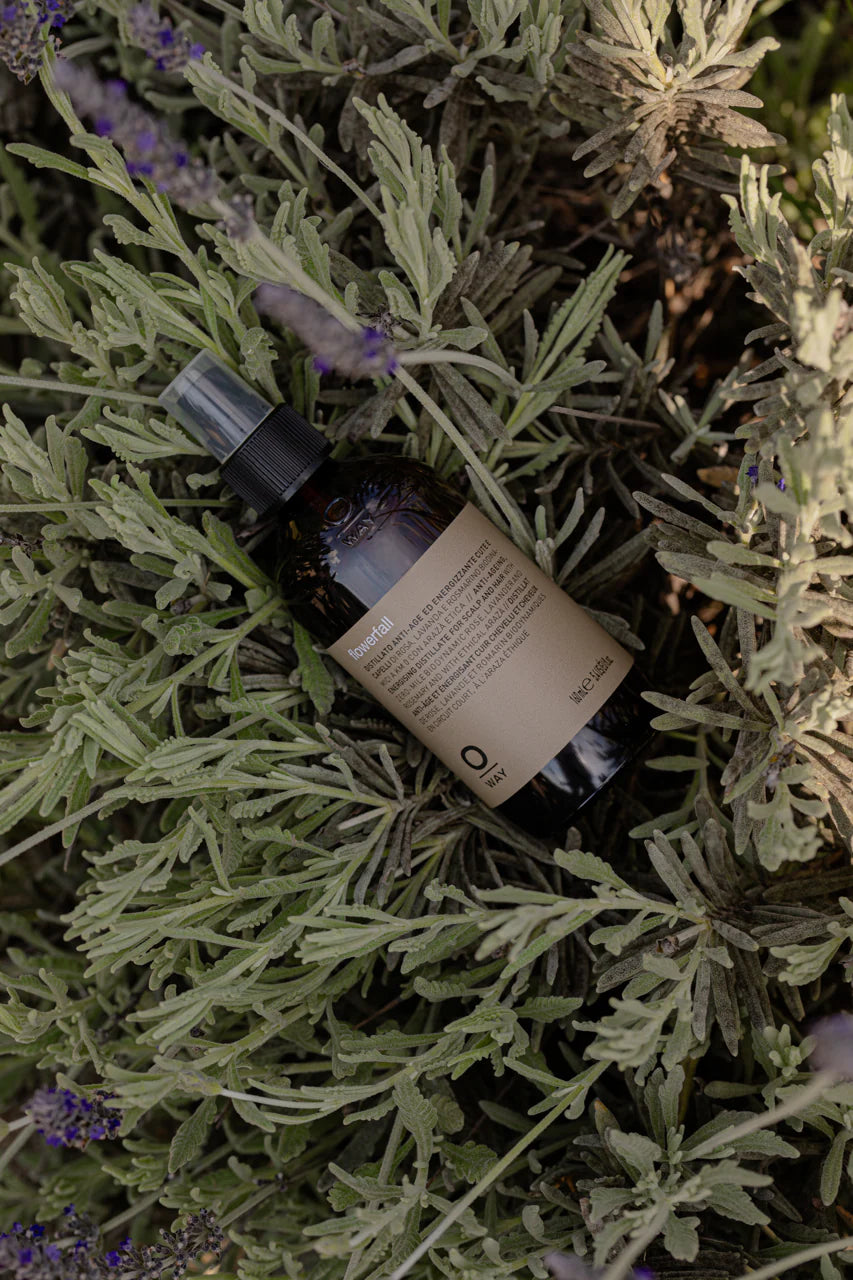 A brown Oway Flowerfall Aromatherapeutic Scalp and Mind Balancing Mist with a beige label sits among green leaves and purple flowers, reflecting its holistic scalp care benefits.