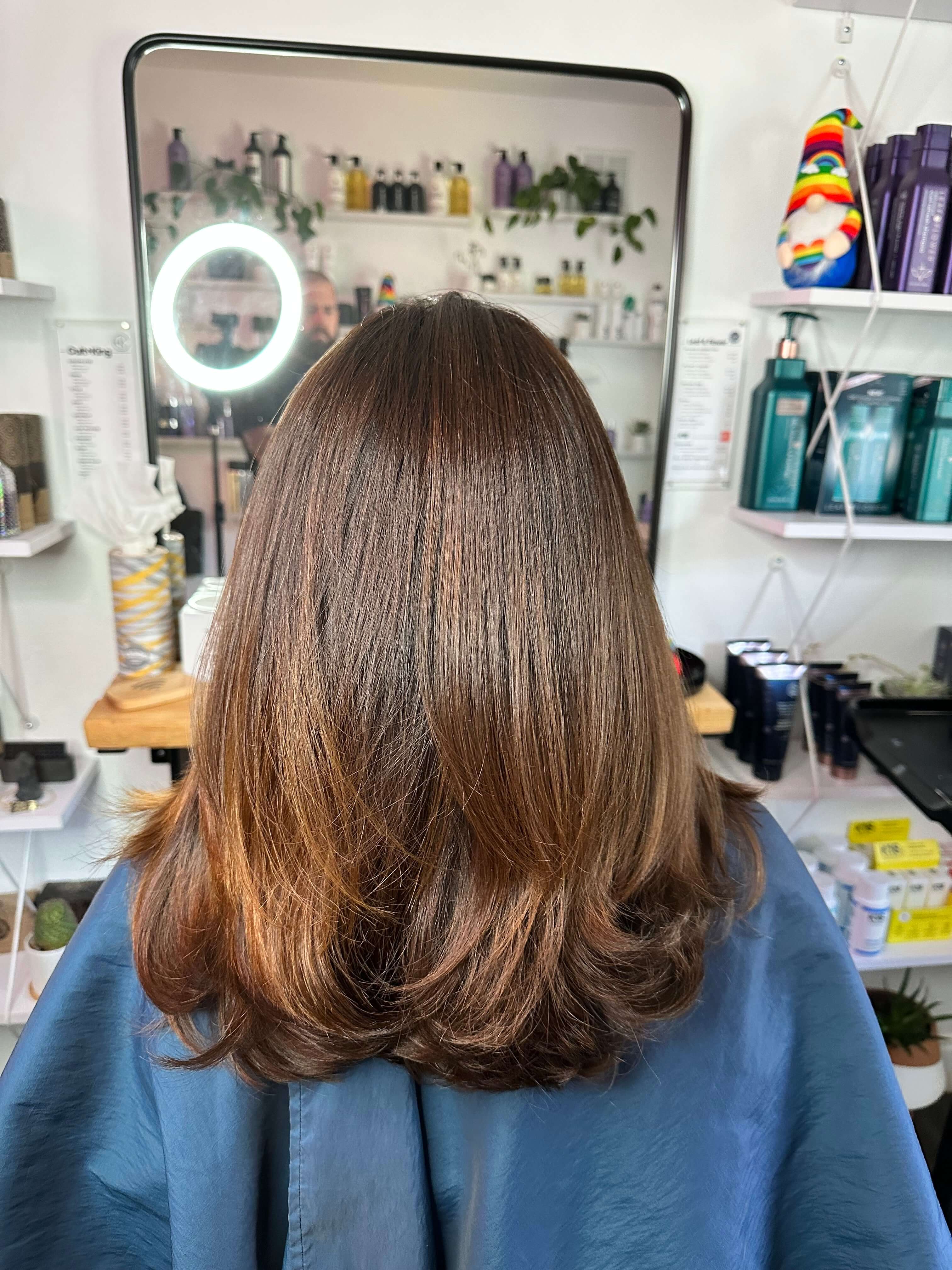 Brunette Hair Model - Simply Colour Hair Salon Studio & Online Store Wesley Chapel Florida Hair Repair