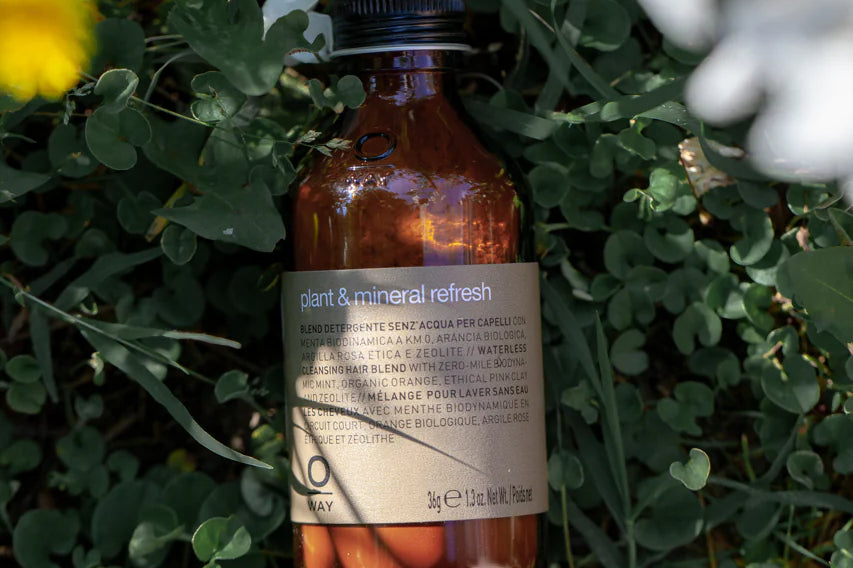 A brown Oway Plant & Mineral Refresh bottle rests on green leaves, dappled in sunlight—a purifying dry shampoo powder for all hair types by Oway.