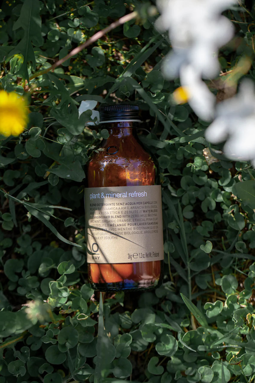A brown Oway Plant & Mineral Refresh bottle rests on green leaves, dappled in sunlight—a purifying dry shampoo powder for all hair types by Oway.
