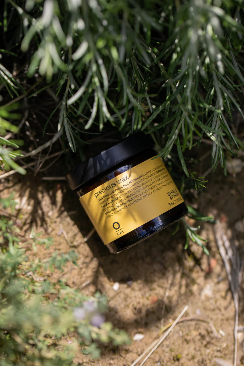 A jar of Oway Precious Wax | Shine Enhancing Styling Wax for Natural Definition with a yellow and black label rests among green plants and soil, highlighting its natural hold and shine-boosting benefits.