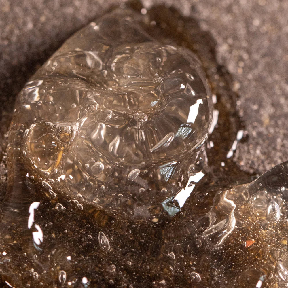 A close-up of a translucent jellyfish on wet sand, its detailed texture and internal structures resembling hair sculpted with Oway Quick Glue, the ultra-hold styling glue by Oway for creative shapes and extreme style memory.