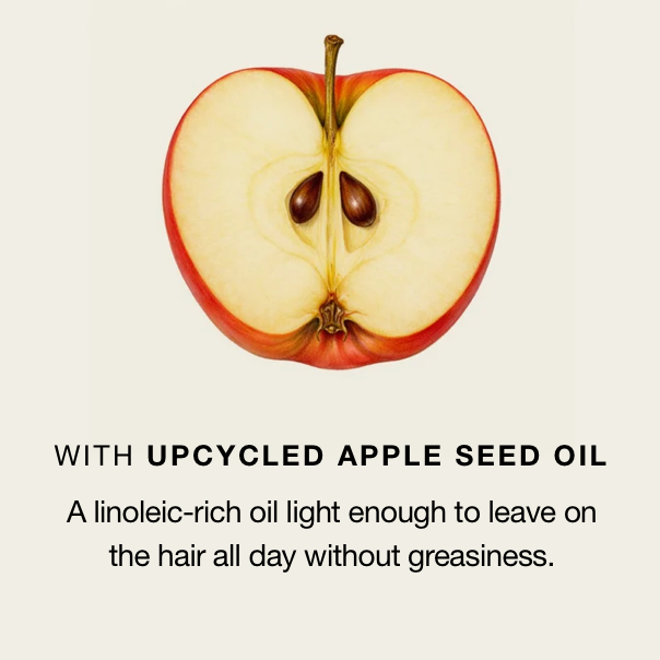 Cross-section of a halved apple showing its seeds, illustrating the Upcycled Apple Seed Oil ingredient — a linoleic-rich oil light enough for all-day wear without greasiness.