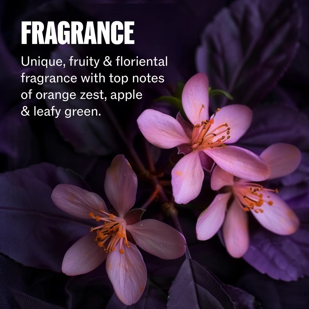 Pink flowers with a dark background and text about fragrance description.