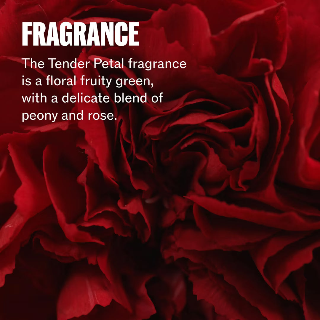 Close-up of red roses with text describing 'The Tender Petal' fragrance.