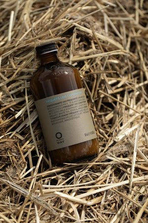 A brown glass bottle of Oway Frequent Use Conditioner | Lightweight Conditioner for Everyday Use rests on straw. Its label, in multiple languages, states it's for all hair types and contains 240 ml.