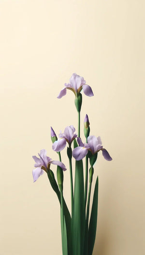 Light purple iris flowers with green stems are arranged on a cream background, reflecting the essence of Oway Next Day Cream—a soft styling cream by Oway designed for next-day texture revival. Some blooms are open, others still in bud.