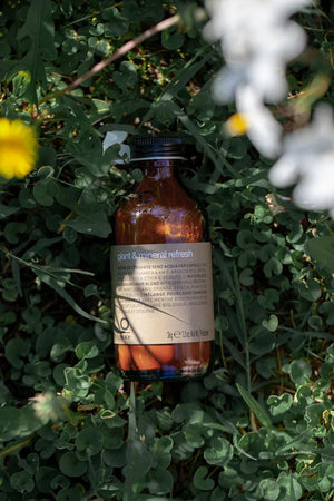 A brown glass bottle labeled "Oway Plant & Mineral Refresh | Purifying Dry Shampoo Powder for All Hair Types" rests on leafy green ground cover, partly sunlit and surrounded by small flowers—a welcoming scene for this botanical dry shampoo.