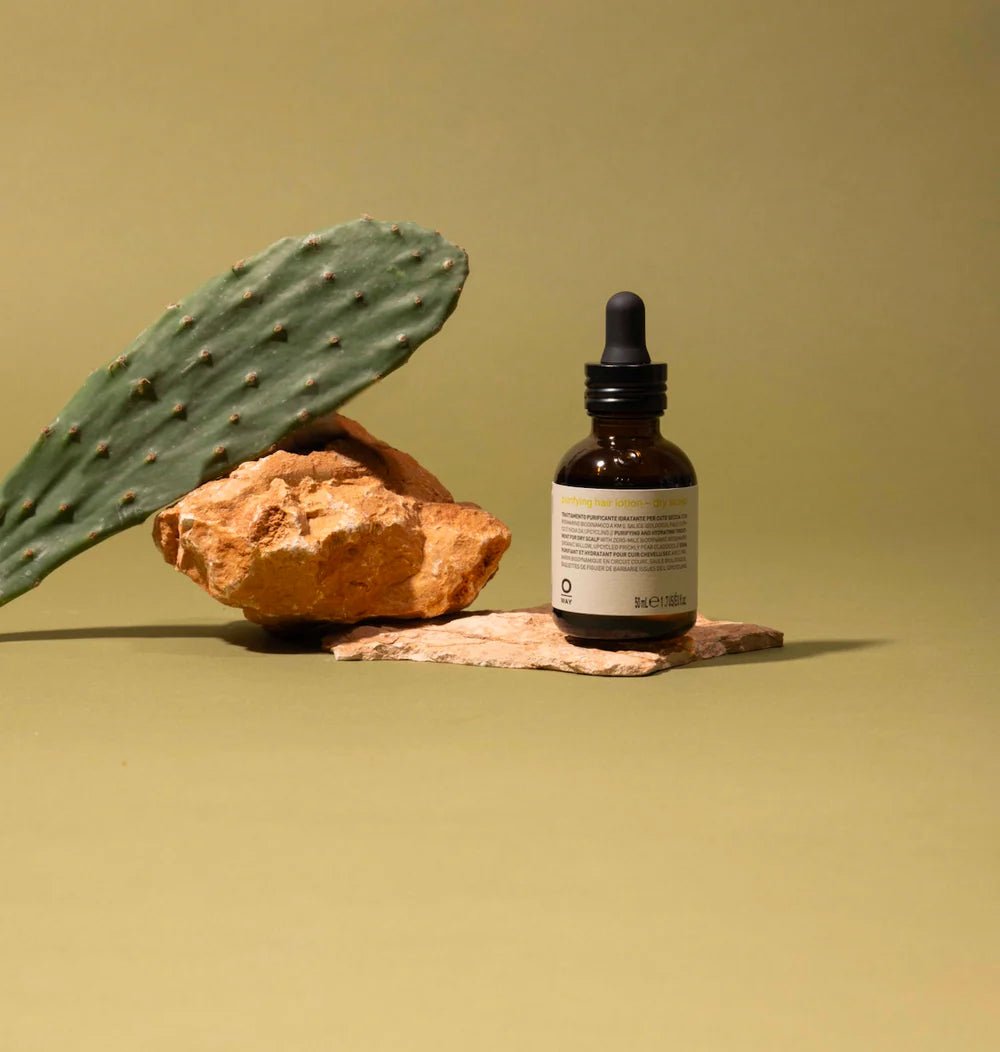 Brown glass dropper bottle with label on a rock and cactus leaf against a beige background
