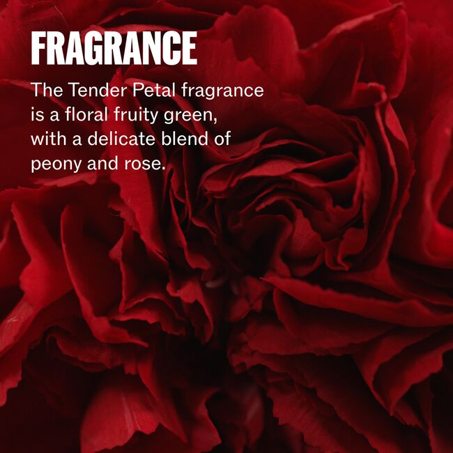 Wella Ultimate Repair Tender Petal fragrance card - a floral fruity green with peony and rose, over a deep red carnation