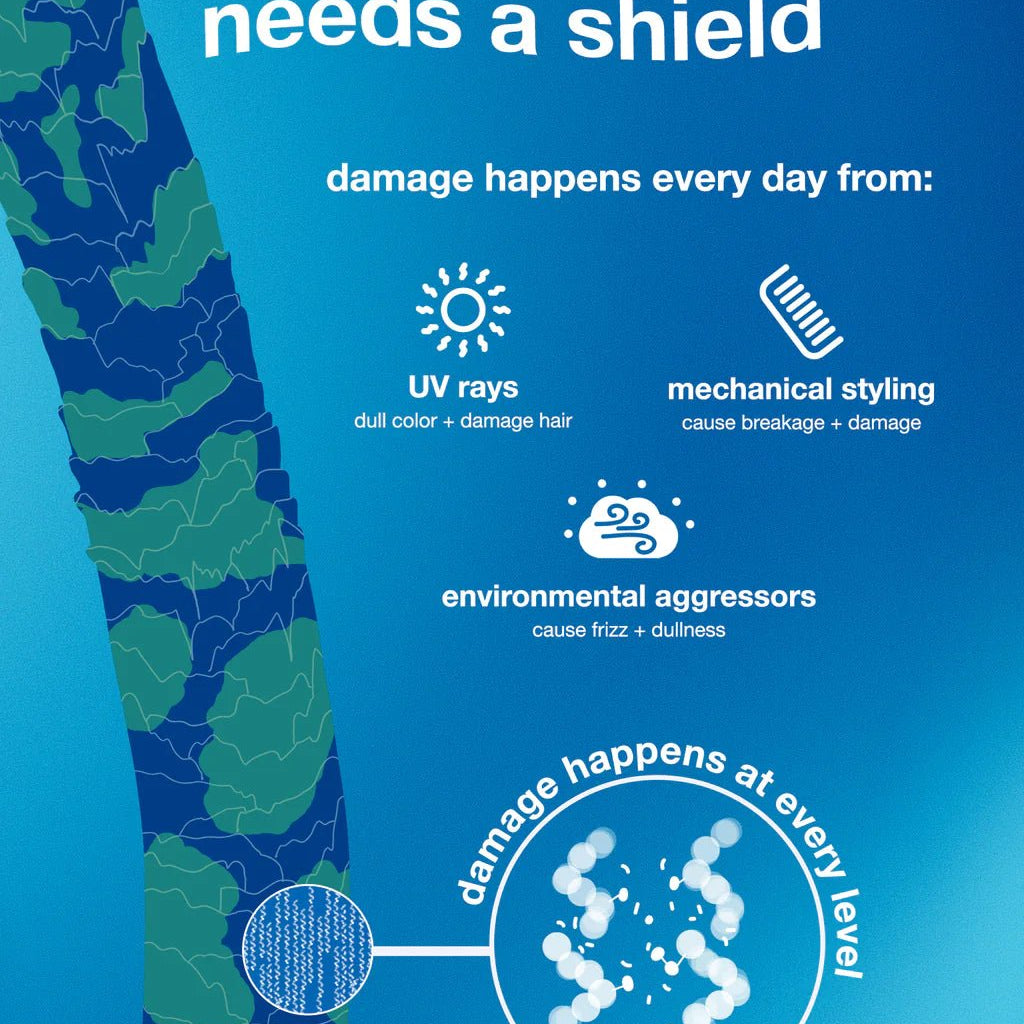 A visual diagram explaining why hair needs protection, illustrating how UV rays, mechanical styling, and environmental aggressors cause damage to hair, affecting color, strength, and texture. It highlights the role of K18 Damage Shield pH Protective Conditioner - Multiple Sizes by K18 Hair Repair in maintaining hair health.