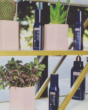 Leaf and Flower Instant Damage Correction Shampoo & Conditioner Duo bottles are displayed on a gold and white shelf next to potted plants in pink containers, with a blurred outdoor background, highlighting their natural ingredients.
