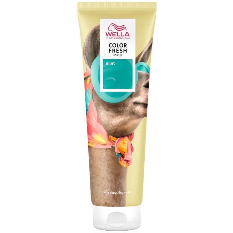 Wella Professional Color Fresh Mask a from Simply Colour Hair Salon Studio & Online Store